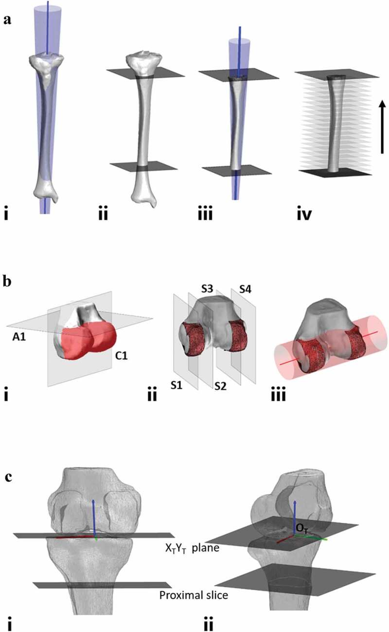 Development and evaluation of a method to define a tibial coordinate system through the fitting of geometric primitives.
