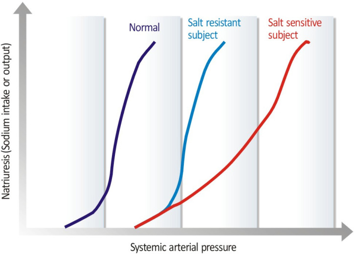 Current Understanding of Pressure Natriuresis.