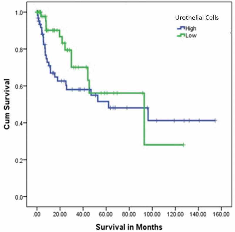 Leptin expression is substantially correlated with prognosis of urinary bladder carcinoma.