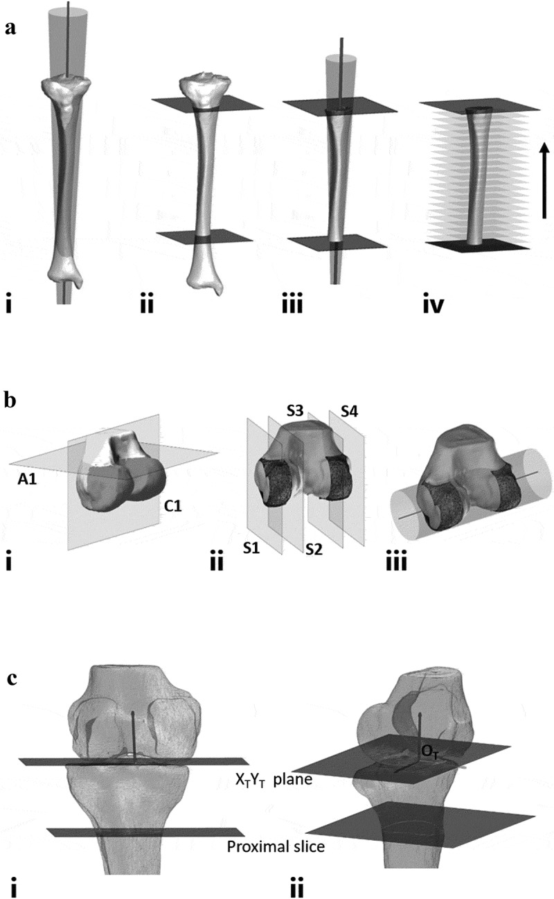 Development and evaluation of a method to define a tibial coordinate system through the fitting of geometric primitives.