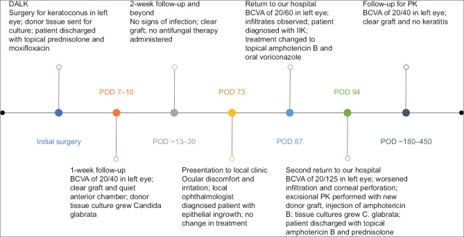 Corneal Perforation as a Complication of Fungal Interface Infectious Keratitis after Deep Anterior Lamellar Keratoplasty.