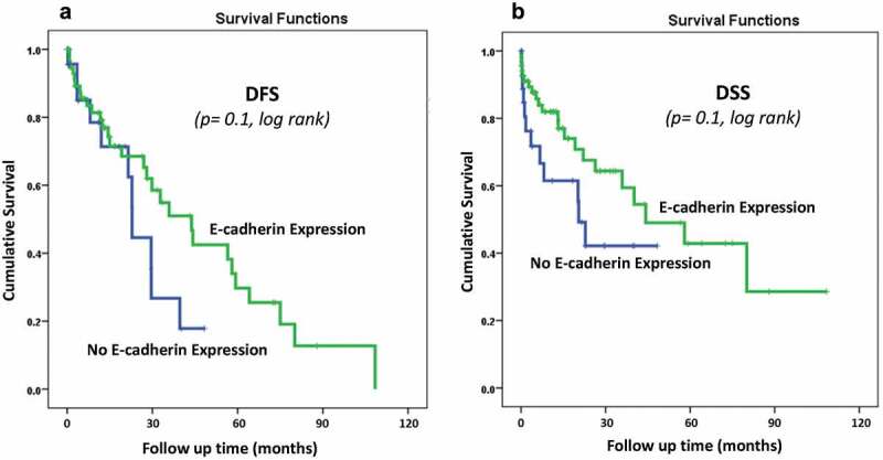 Prognostic value of E-Cadherin and its tumor suppressor role in Saudi women with advanced epithelial ovarian cancer.