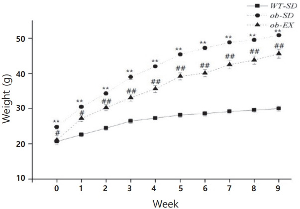 Voluntary exercise training improves body weight of leptin-deficient ob/ob mice by altering hepatic stearoyl-CoA desaturase 1 and deleted in breast cancer 1 protein levels.