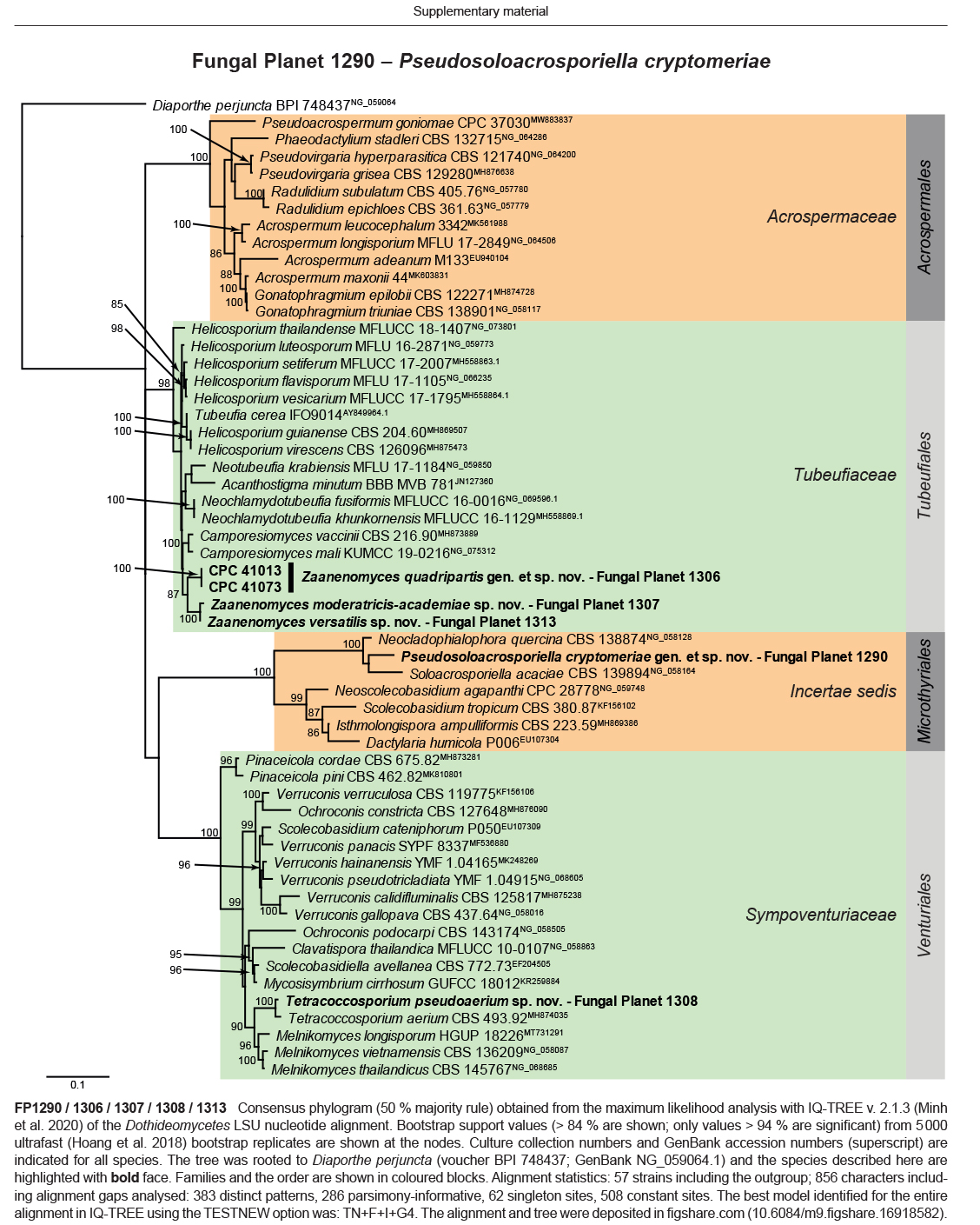 Fungal Planet description sheets: 1284-1382.