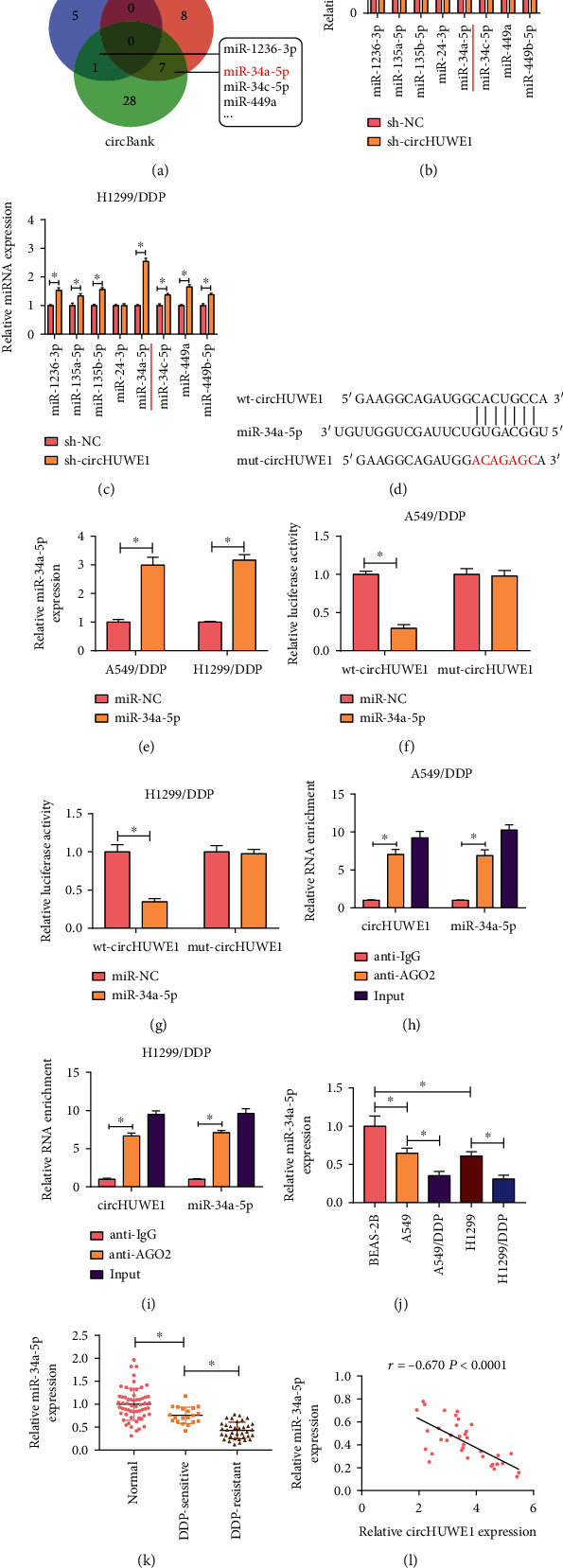 circHUWE1 Exerts an Oncogenic Role in Inducing DDP-Resistant NSCLC Progression Depending on the Regulation of miR-34a-5p/TNFAIP8.