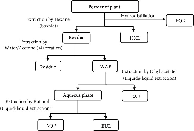 Chemical Composition of Essential Oil, Phenolic Compounds Content, and Antioxidant Activity of <i>Cistus monspeliensis</i> from Northern Morocco.