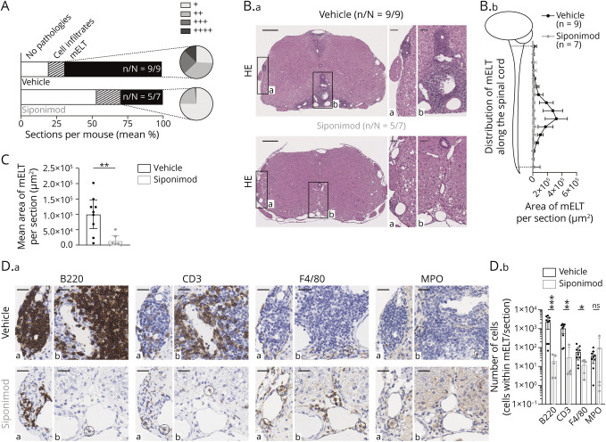 Siponimod Inhibits the Formation of Meningeal Ectopic Lymphoid Tissue in Experimental Autoimmune Encephalomyelitis.
