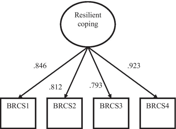 Measurement Invariance of the Brief Resilient Coping Scale (BRCS) in Peruvian and Spanish Older Adults.