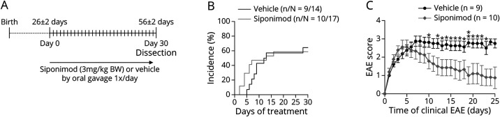 Siponimod Inhibits the Formation of Meningeal Ectopic Lymphoid Tissue in Experimental Autoimmune Encephalomyelitis.