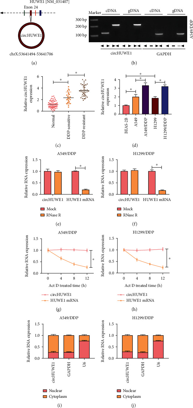 circHUWE1 Exerts an Oncogenic Role in Inducing DDP-Resistant NSCLC Progression Depending on the Regulation of miR-34a-5p/TNFAIP8.