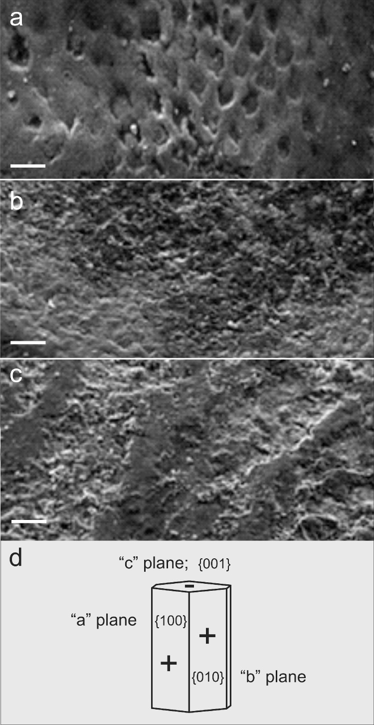 Advanced non-fluoride approaches to dental enamel remineralization: The next level in enamel repair management