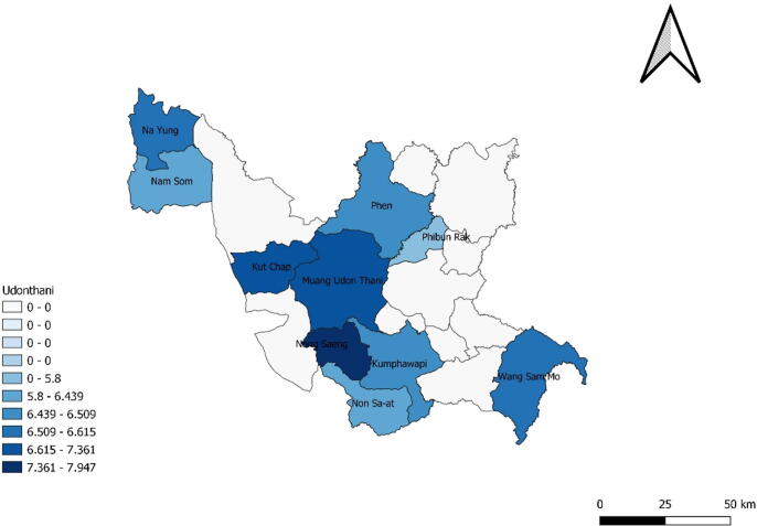 Long-term care (LTC) policy in Thailand on the homebound and bedridden elderly happiness