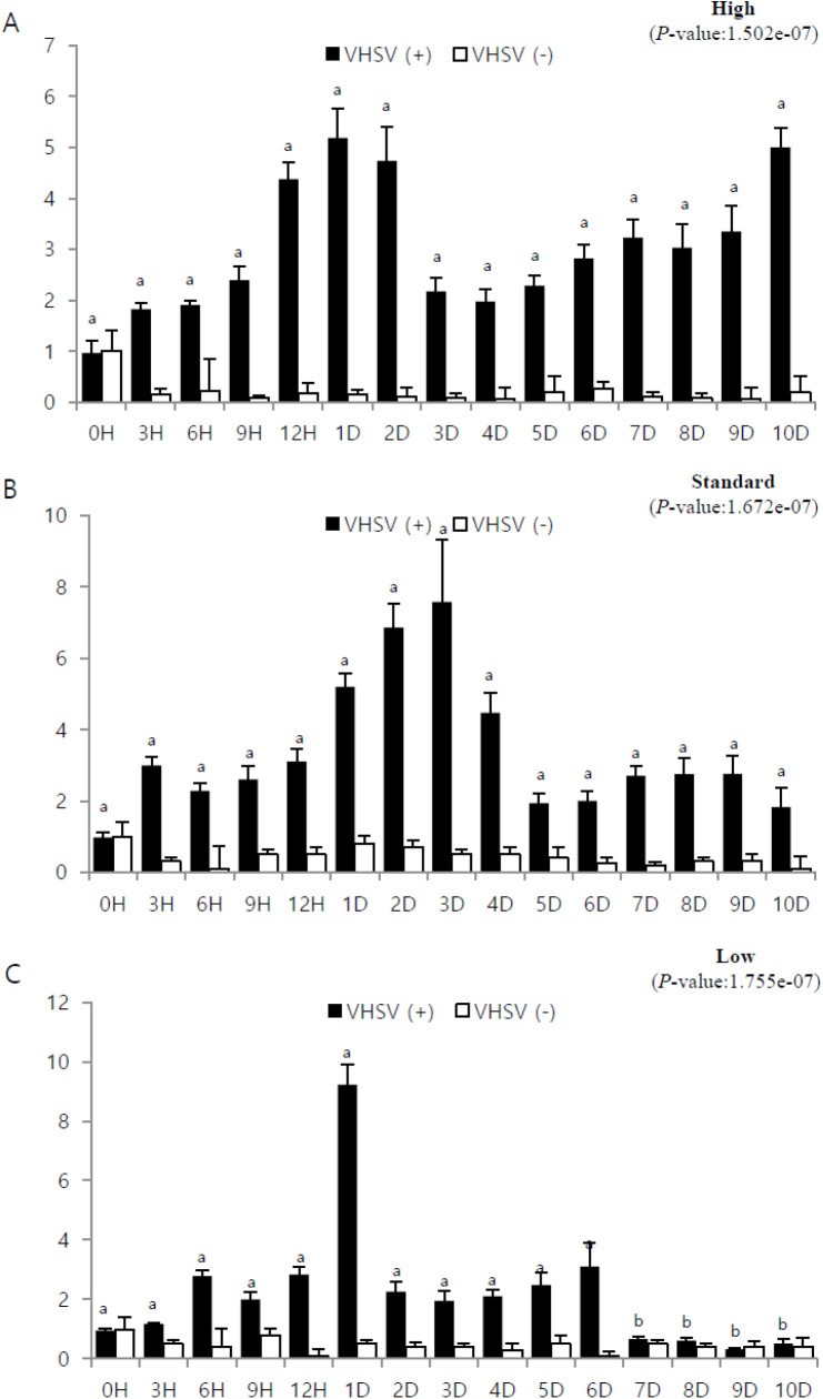 Analysis of Tissue-Specific Interferon Regulatory Factor 3 (IRF3) Gene Expression against Viral Infection in <i>Paralichthys olivaceus</i>.