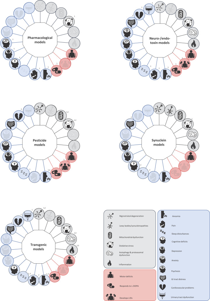 Animal models of Parkinson's disease: a guide to selecting the optimal model for your research.