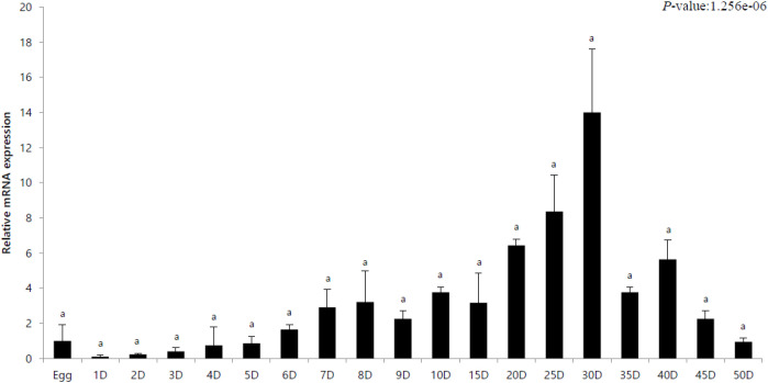 Analysis of Tissue-Specific Interferon Regulatory Factor 3 (IRF3) Gene Expression against Viral Infection in <i>Paralichthys olivaceus</i>.