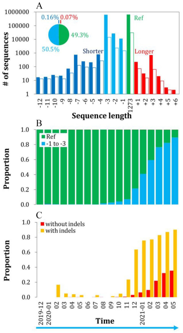 Evolutionary Dynamics of Indels in SARS-CoV-2 Spike Glycoprotein.