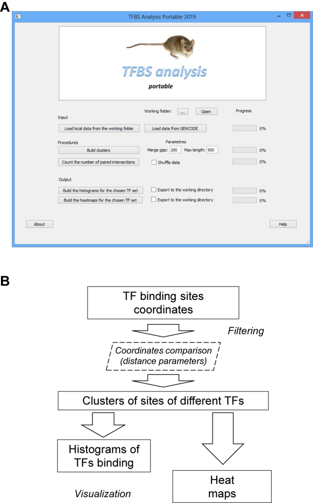 Statistical estimates of multiple transcription factors binding in the model plant genomes based on ChIP-seq data.