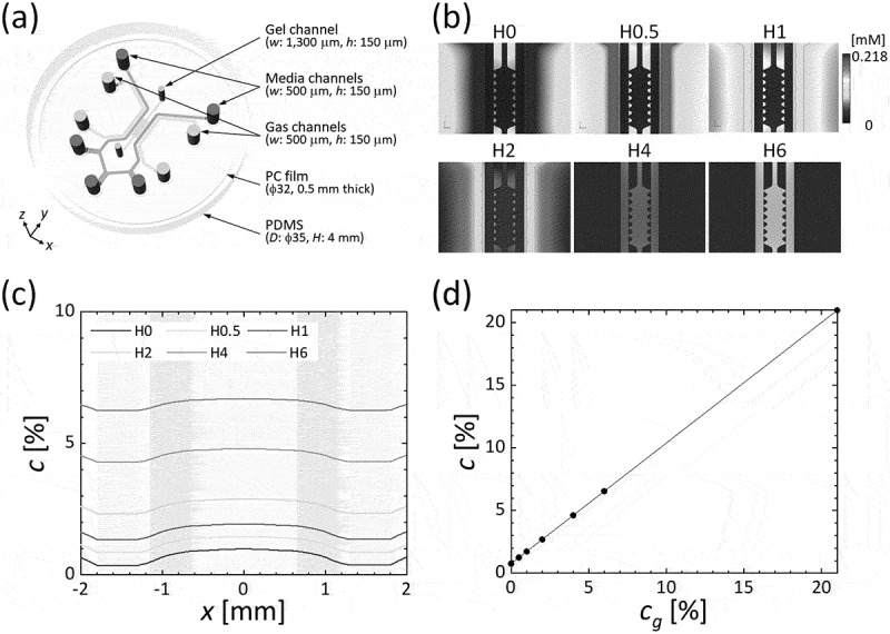 P21-activated kinase regulates oxygen-dependent migration of vascular endothelial cells in monolayers.