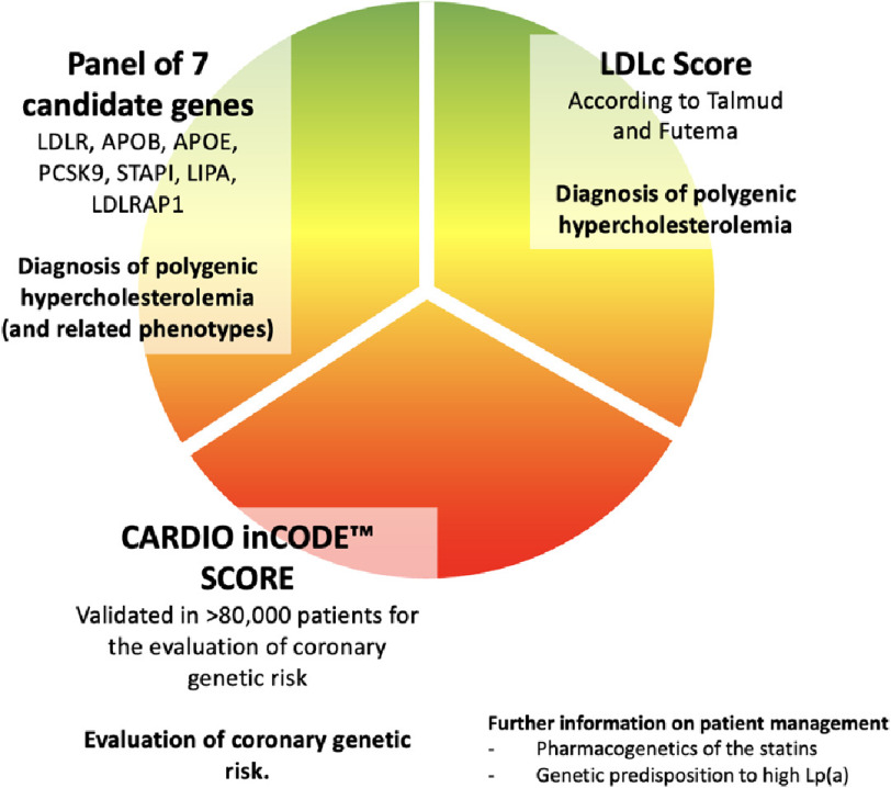 Evaluation of a novel rapid genomic test including polygenic risk scores for the diagnosis and management of familial hypercholesterolaemia.