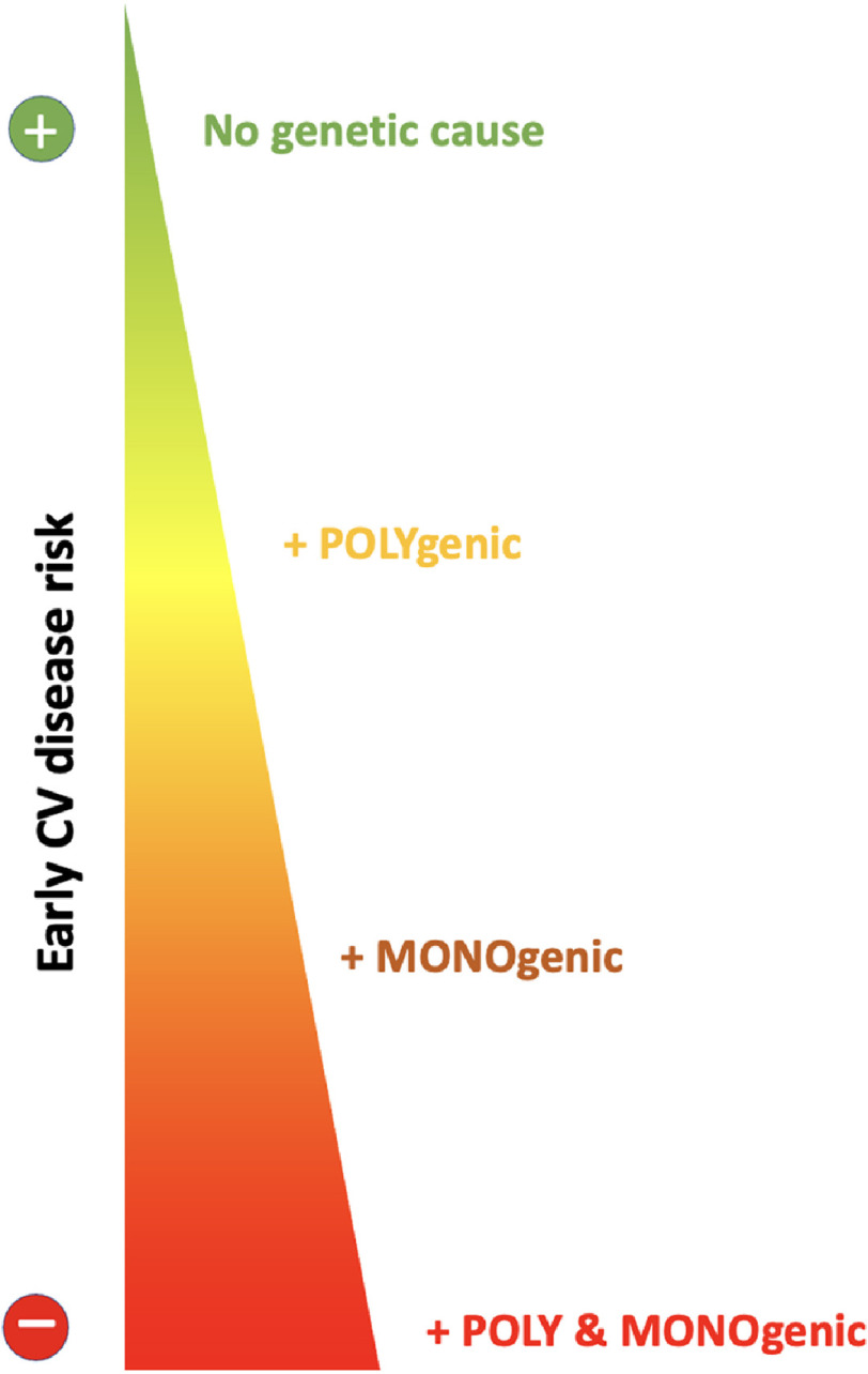 Evaluation of a novel rapid genomic test including polygenic risk scores for the diagnosis and management of familial hypercholesterolaemia.