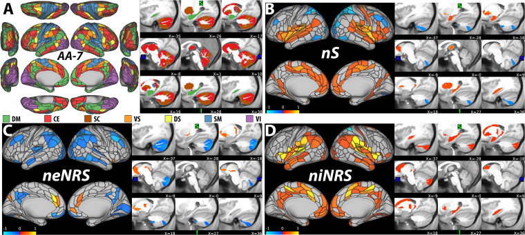 Brain Networks Associated With COVID-19 Risk: Data From 3662 Participants.