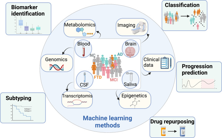 Applied machine learning in Alzheimer's disease research: omics, imaging, and clinical data.