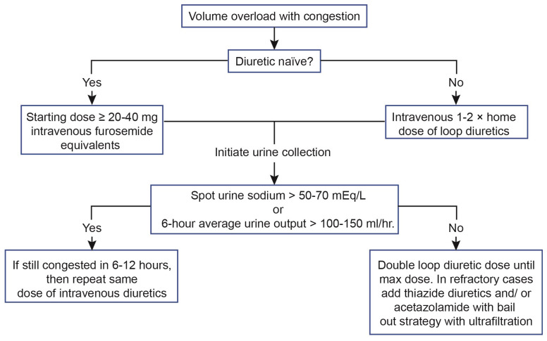 Medical management of acute heart failure.