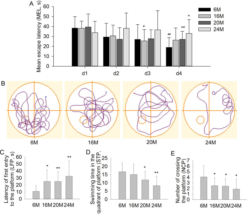 NLRP1 inflammasome involves in learning and memory impairments and neuronal damages during aging process in mice.