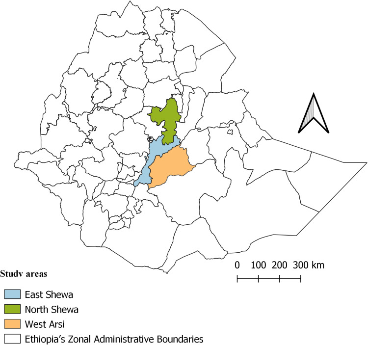 Molecular Identification of Equine Herpesvirus 1, 2, and 5 in Equids with Signs of Respiratory Disease in Central Ethiopia.