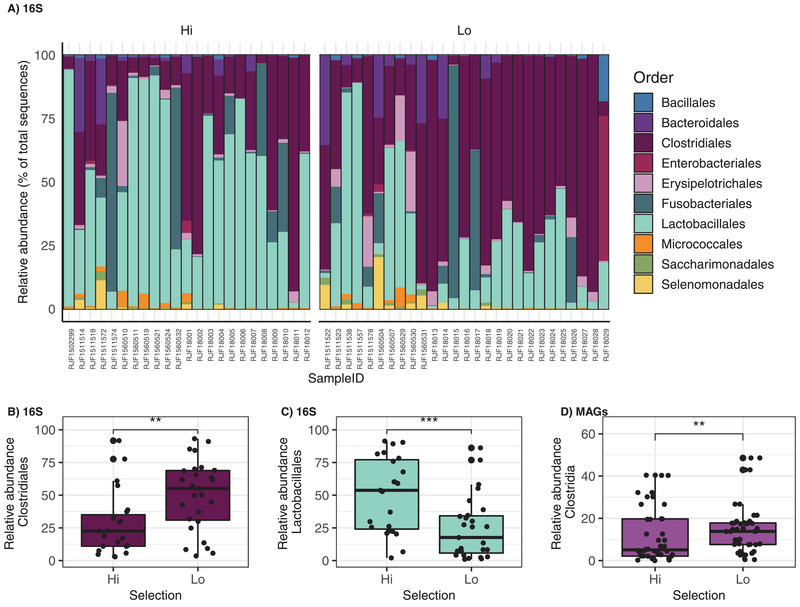 Gut Microbiota Linked with Reduced Fear of Humans in Red Junglefowl Has Implications for Early Domestication