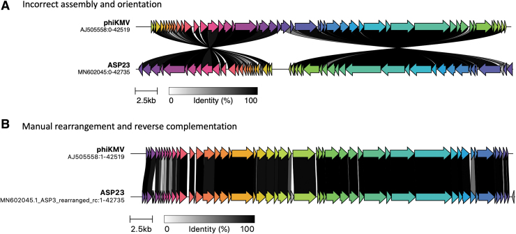 Phage Annotation Guide: Guidelines for Assembly and High-Quality Annotation.