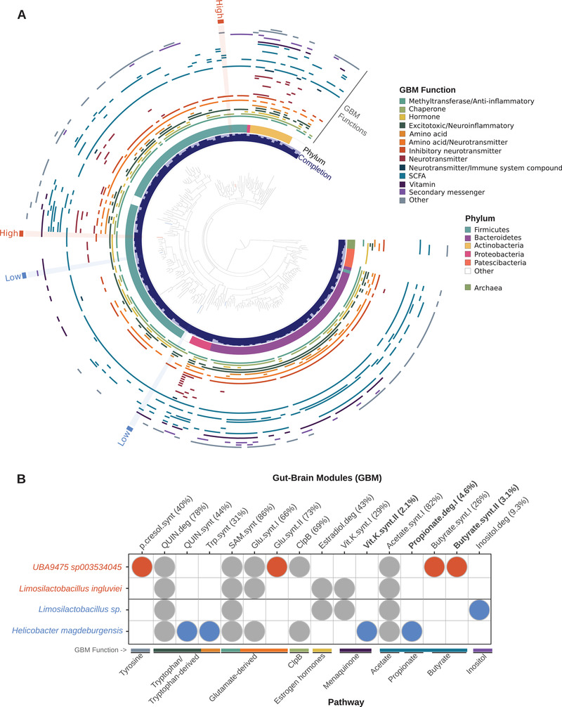 Gut Microbiota Linked with Reduced Fear of Humans in Red Junglefowl Has Implications for Early Domestication