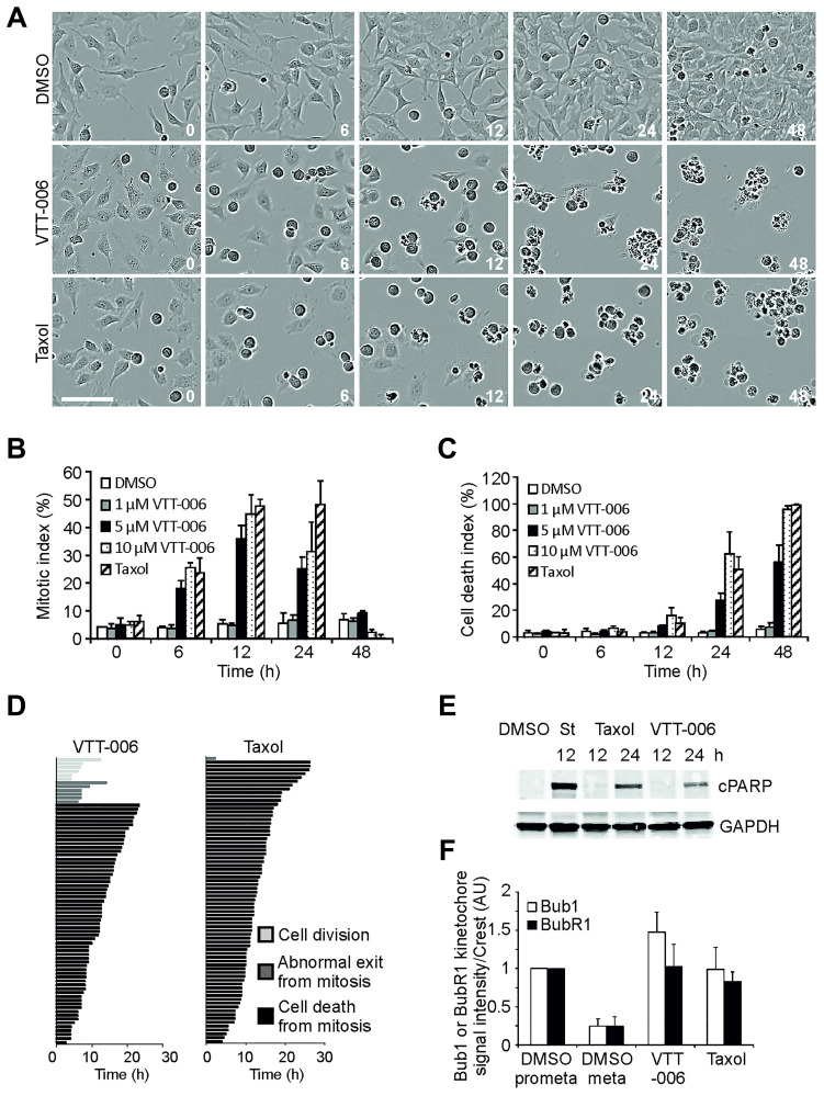 VTT-006, an anti-mitotic compound, binds to the Ndc80 complex and suppresses cancer cell growth <i>in vitro</i>.