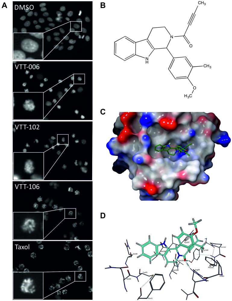 VTT-006, an anti-mitotic compound, binds to the Ndc80 complex and suppresses cancer cell growth <i>in vitro</i>.