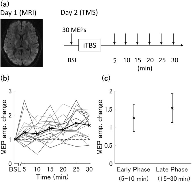 Microstructural Properties of Human Brain Revealed by Fractional Anisotropy Can Predict the After-Effect of Intermittent Theta Burst Stimulation.