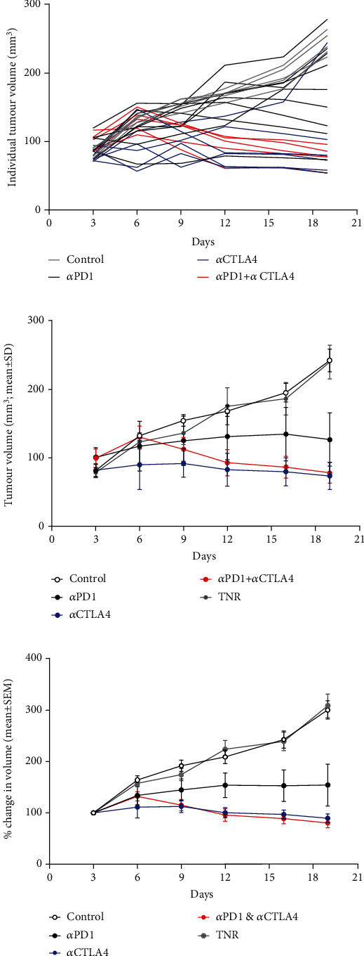 Granzyme B PET Imaging Stratifies Immune Checkpoint Inhibitor Response in Hepatocellular Carcinoma.