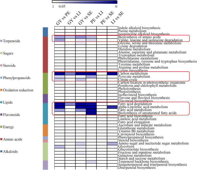 Floral organ-specific proteome profiling of the floral ornamental orchid (Cymbidium goeringii) reveals candidate proteins related to floral organ development.