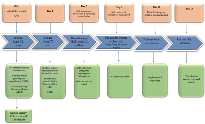 Fatal pulmonary <i>Scedosporium aurantiacum</i> infection in a patient after near-drowning: A case report.