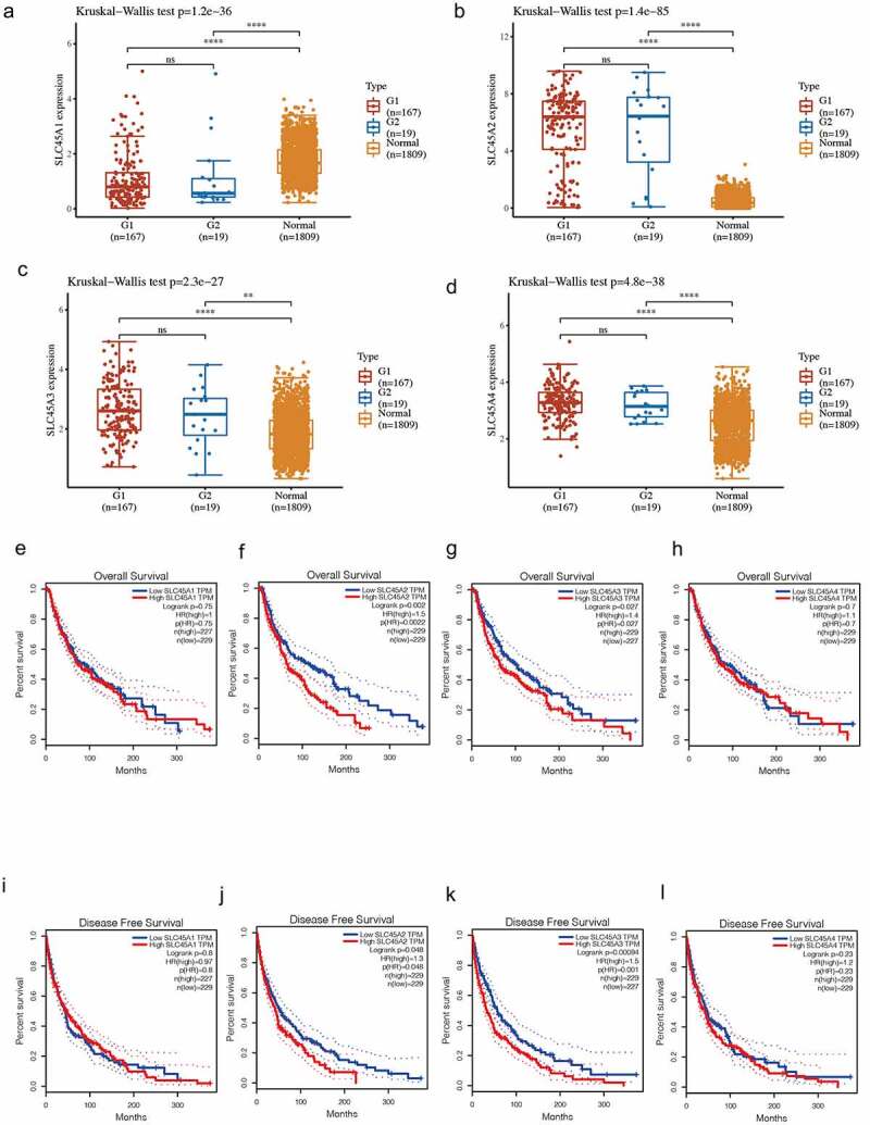 Database mining analysis revealed the role of the putative H<sup>+</sup>/sugar transporter solute carrier family 45 in skin cutaneous melanoma.