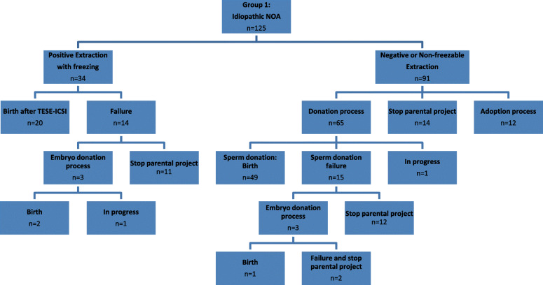 Non-obstructive idiopathic azoospermia vs azoospermia with antecedents of cryptorchidism: ways and probabilities of becoming parents.