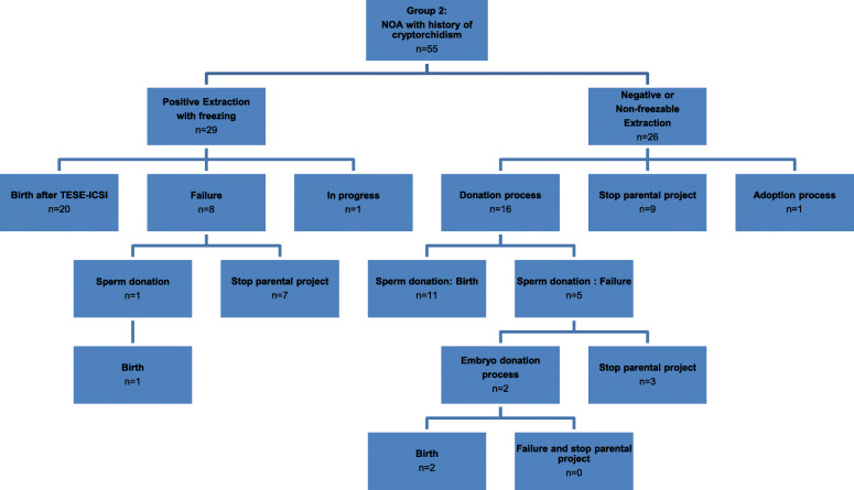 Non-obstructive idiopathic azoospermia vs azoospermia with antecedents of cryptorchidism: ways and probabilities of becoming parents.