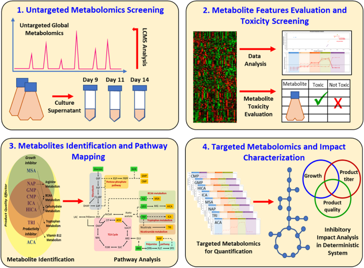 Identification of novel inhibitory metabolites and impact verification on growth and protein synthesis in mammalian cells