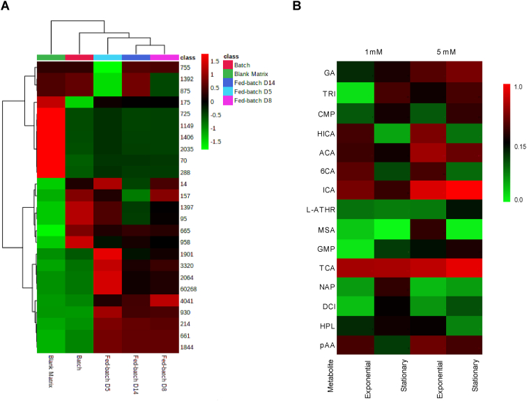 Identification of novel inhibitory metabolites and impact verification on growth and protein synthesis in mammalian cells