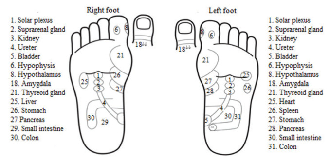 Effect of Foot Reflexology Protocol on Premenstrual Syndrome Symptoms in Nursing Students: a Pre-Post Pilot Study.