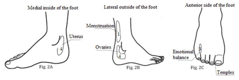 Effect of Foot Reflexology Protocol on Premenstrual Syndrome Symptoms in Nursing Students: a Pre-Post Pilot Study.