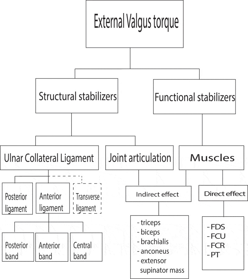 The ulnar collateral ligament loading paradox between in-vitro and in-vivo studies on baseball pitching (narrative review).