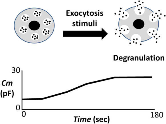 Potential prophylactic efficacy of mast cell stabilizers against COVID-19 vaccine-induced anaphylaxis.