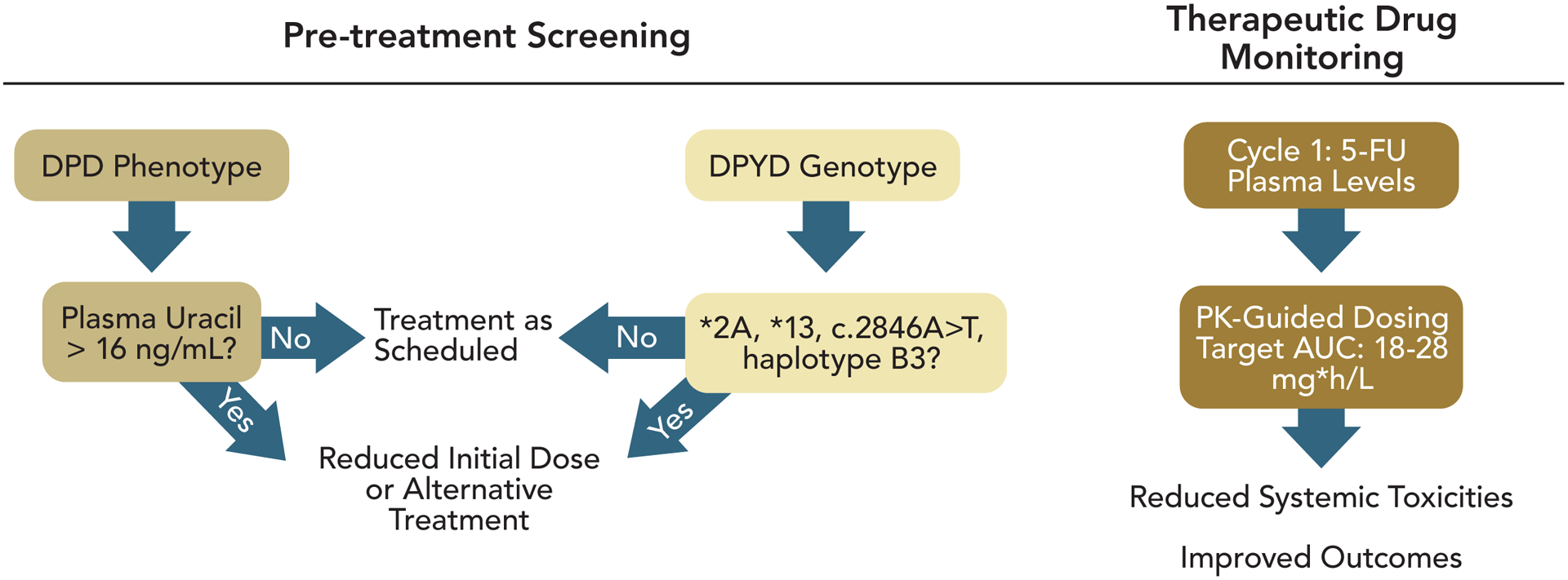 A narrative review of genetic factors affecting fluoropyrimidine toxicity.