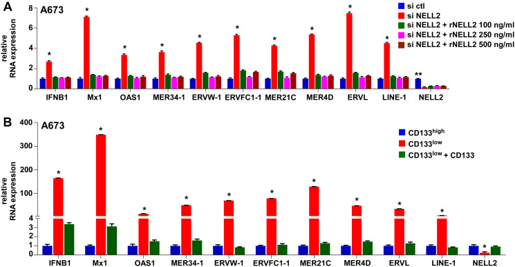 EZH2 suppresses endogenous retroviruses and an interferon response in cancers.