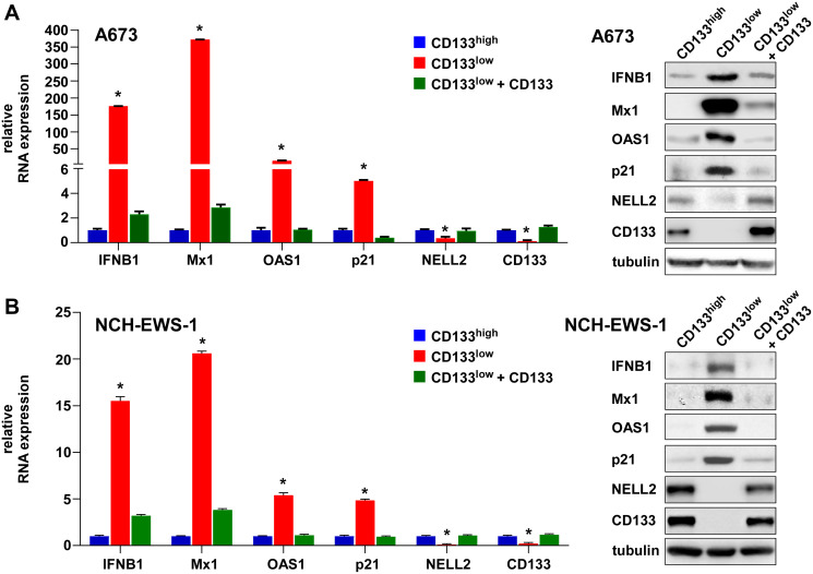 EZH2 suppresses endogenous retroviruses and an interferon response in cancers.